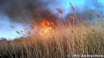 Pożar szuwarów na terenach po byłej cegielni w Andrychowie